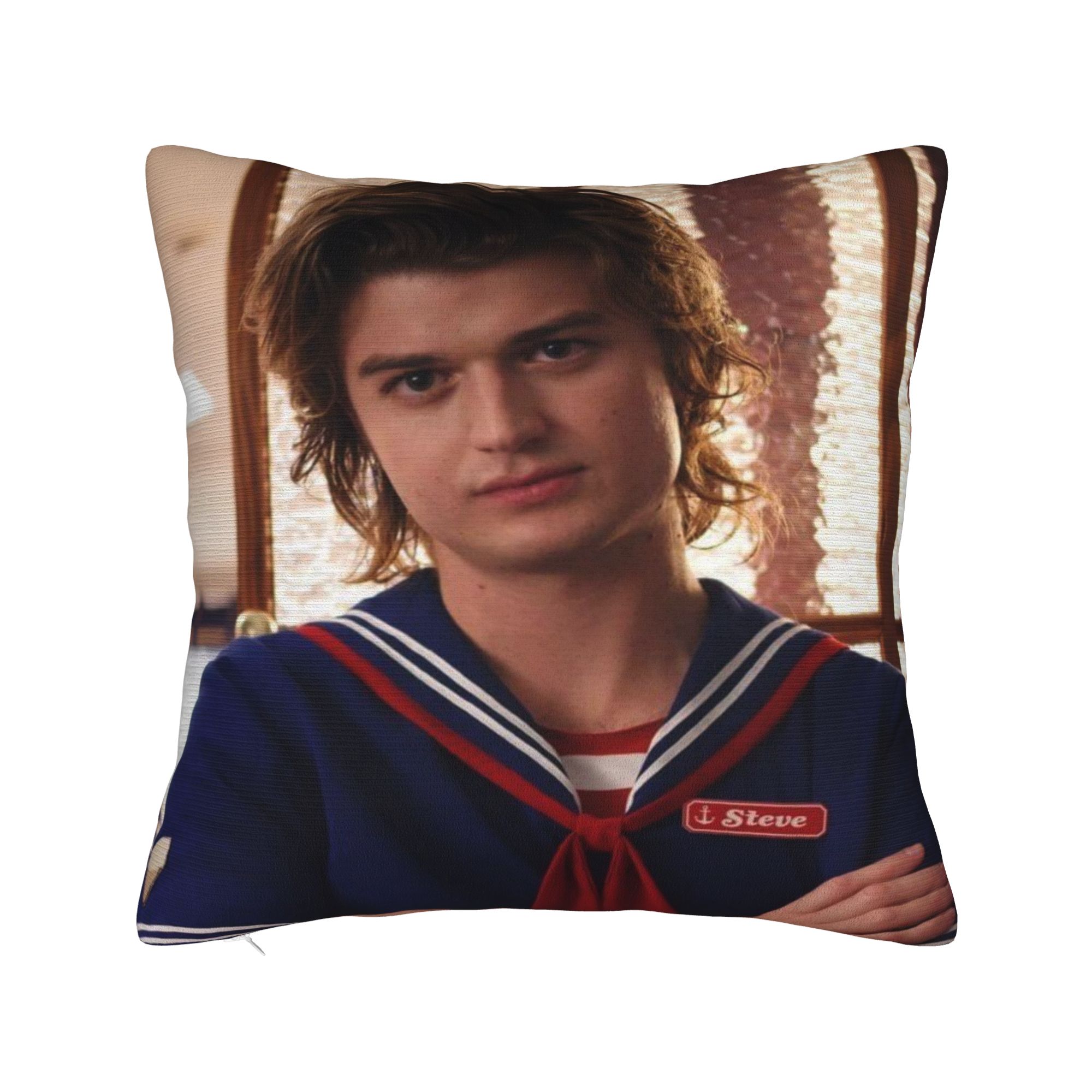 Joe Keery Steve Harrington Pil - Home Decor Design Ideas recension och pris