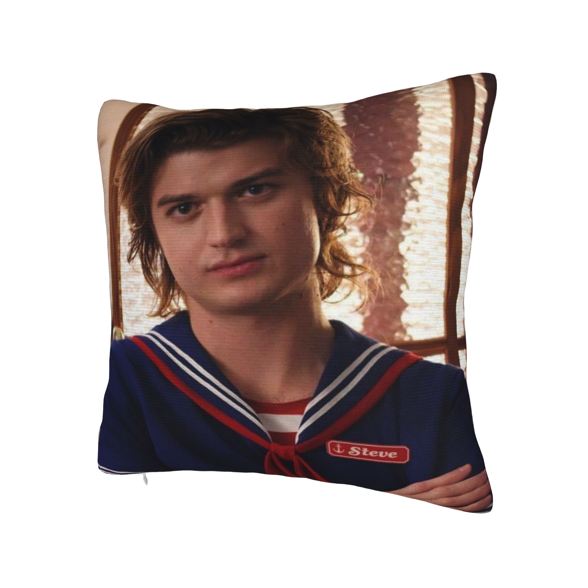 Joe Keery Steve Harrington Pil - Home Decor Design Ideas recension och pris