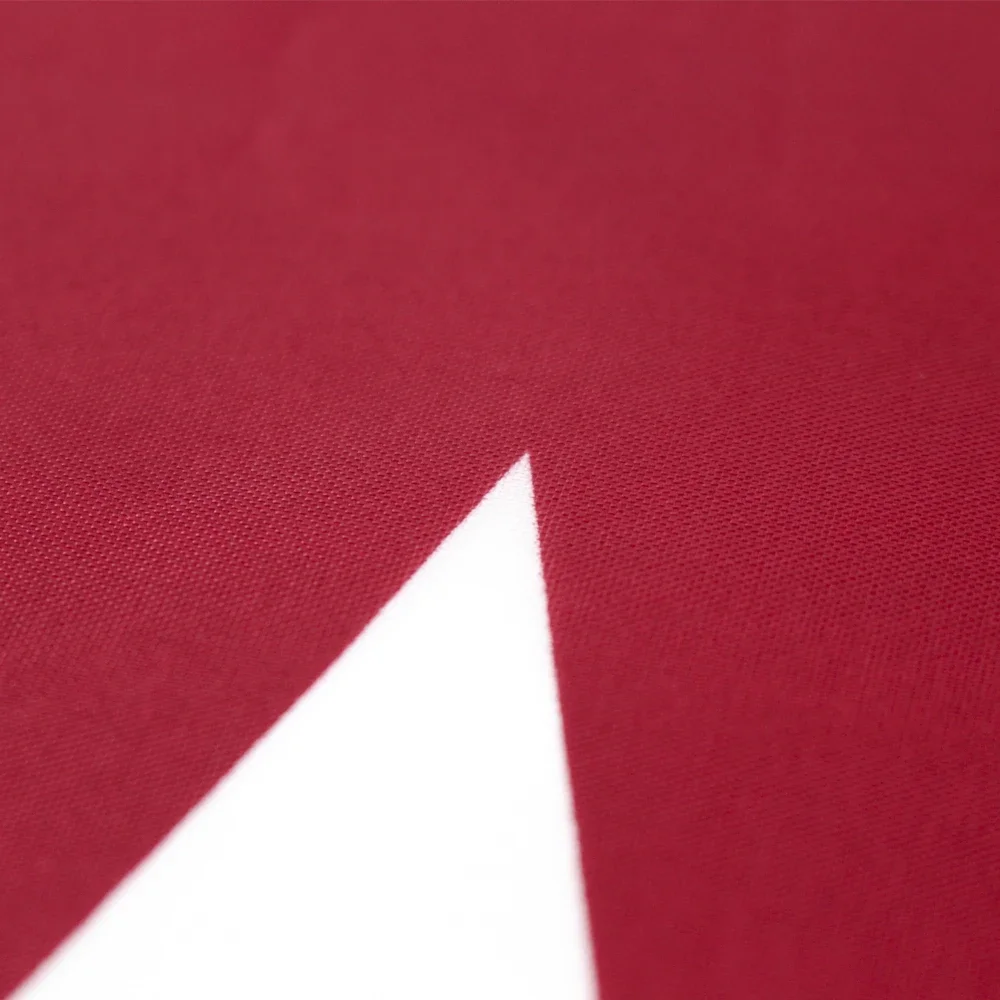 60x90cm 90X150cm Qatar Flag Po - Home Decor Qatar recension och pris